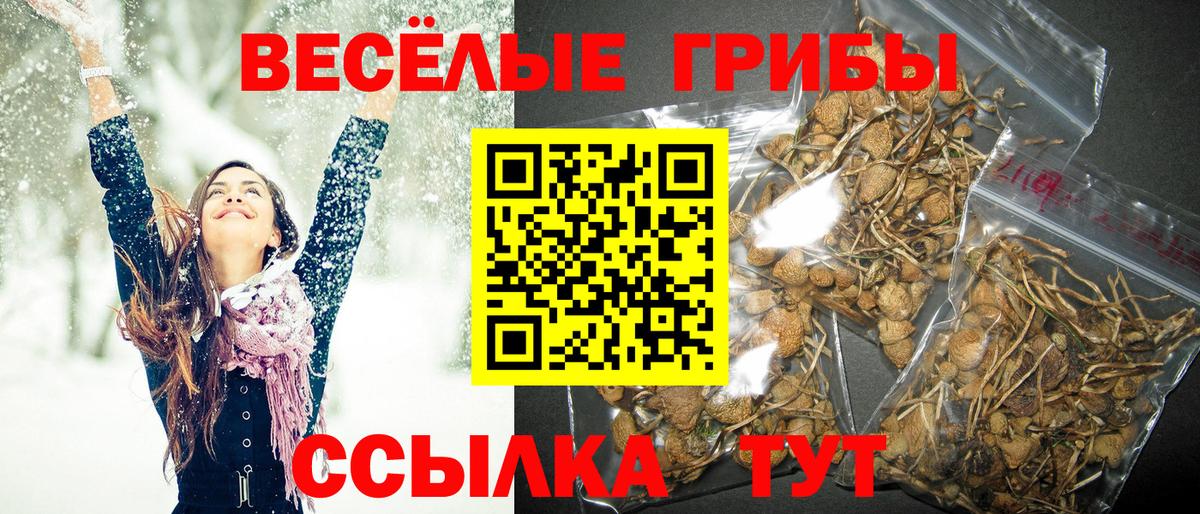 Галлюциногенные грибы Psilocybine cubensis  Псилоцибиновые грибы ЛСД  Вход с VPN  купить наркотик  Щёлково 