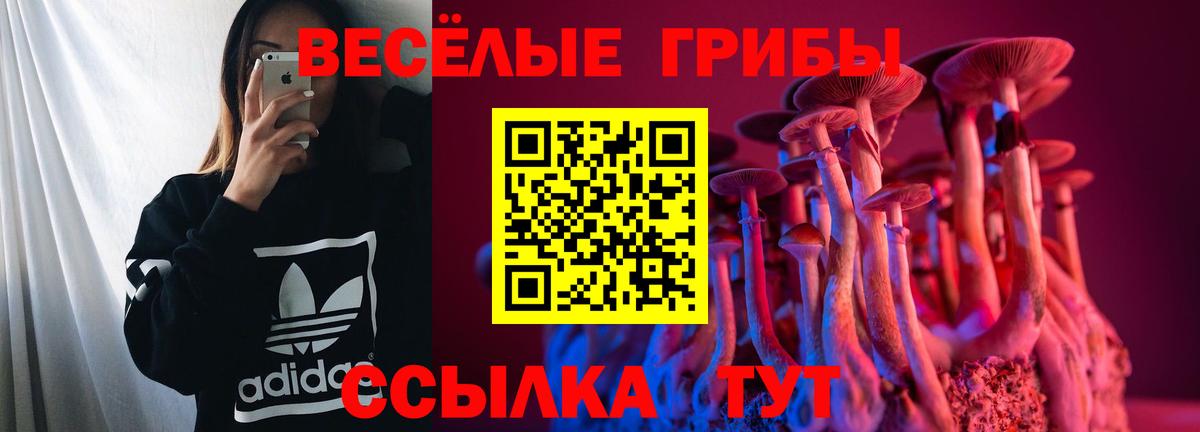 Галлюциногенные грибы прущие грибы Щёлково